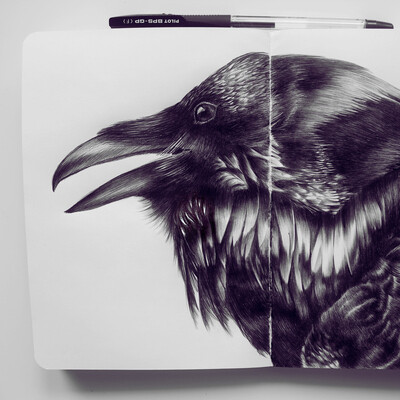 Huginn and Muninn
