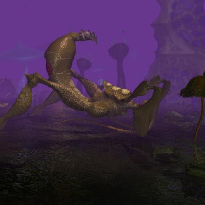 Psilocybe swamp