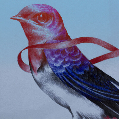 Swallow