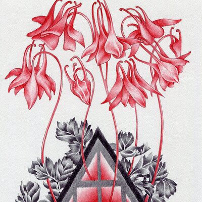 Lost house