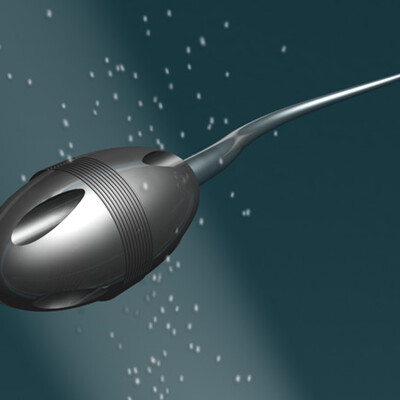 Сперматазоид