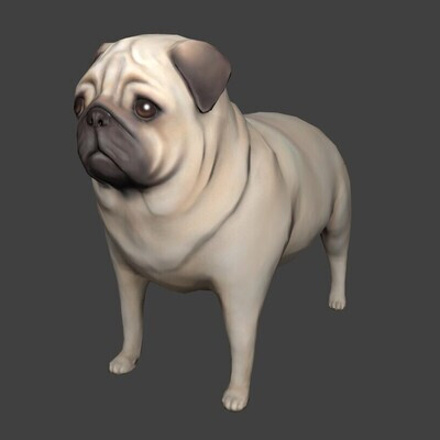 Miscellaneous / Old Work - Pug