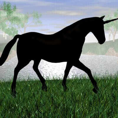 тень единорога(Shadow of a unicom)