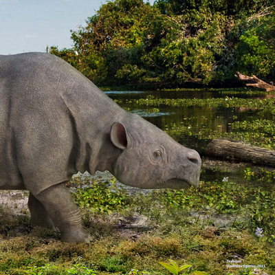 Toxodon