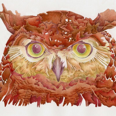 Oak owl