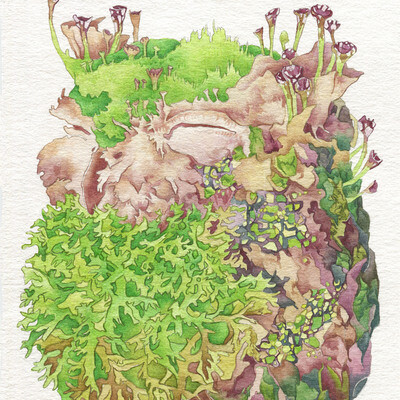 Moss owl