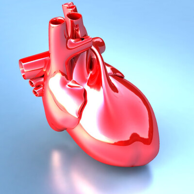 Heart
