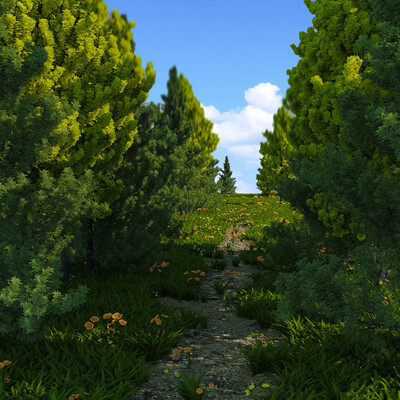 Forest
