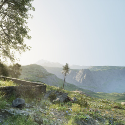 Environment