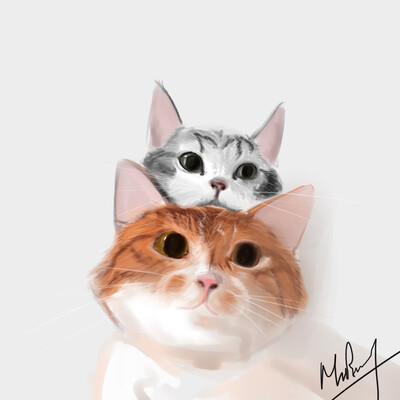 Котики :)