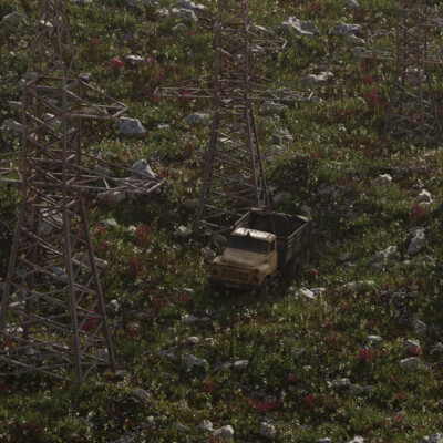 Zil in the field
