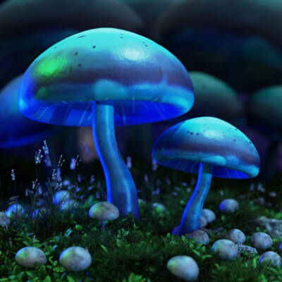 magic mushrooms