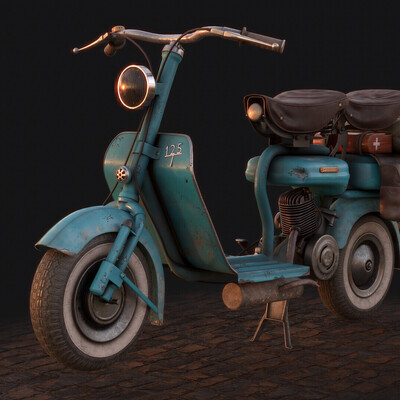Traveler's bike