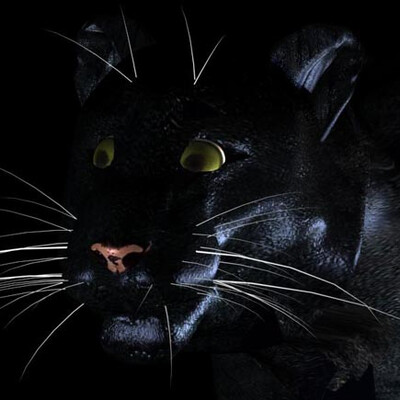 Пантера new