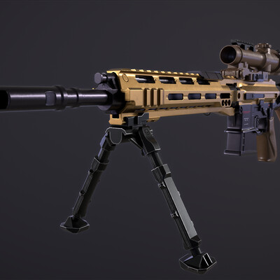 Sniper Rifle D-25S