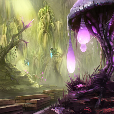Swamp Forest