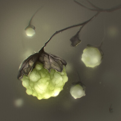 Berries