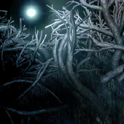 Lunar Forest