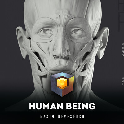 Human being. Perfection in plaster.