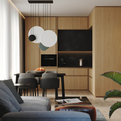 DESIGN PROJECT OF CONTEMPORARY APARTMENT FOR ONE PERSON IN MOSCOW, RUSSIA.