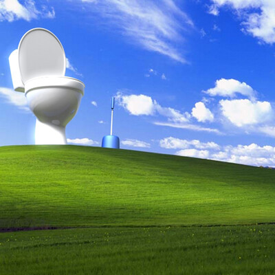 MegaToilet