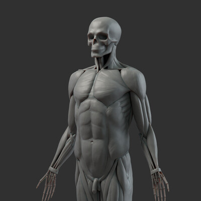 Экорше