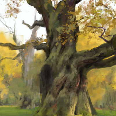 study