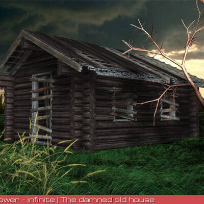 The damned old house
