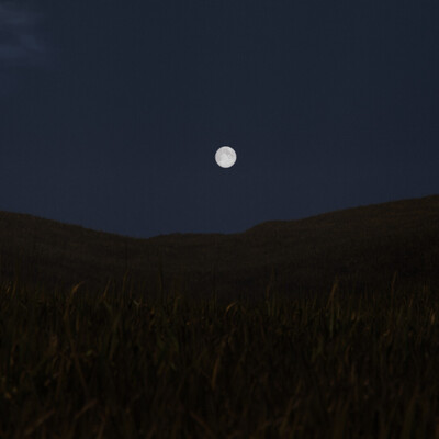 Night Scene 1