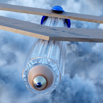 Fly dream