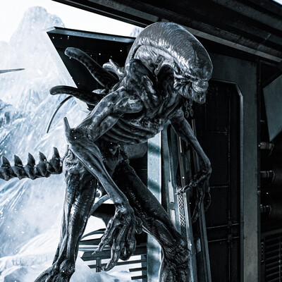 Xenomorph