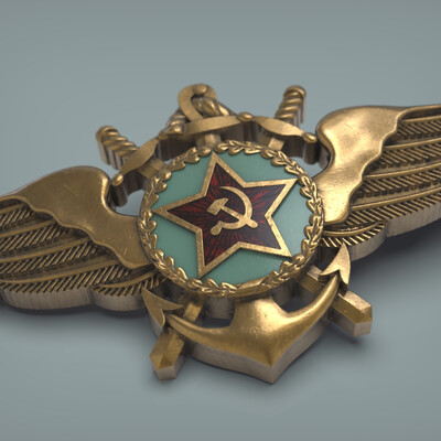 Знак «Морской летчик»