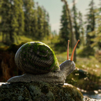 snail