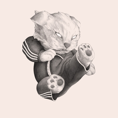 Рисунки