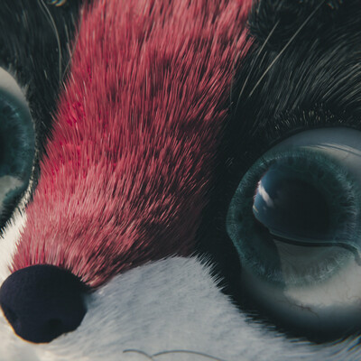 Raccoon