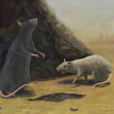 Крысы на свалке. (Rats in the landfill) .