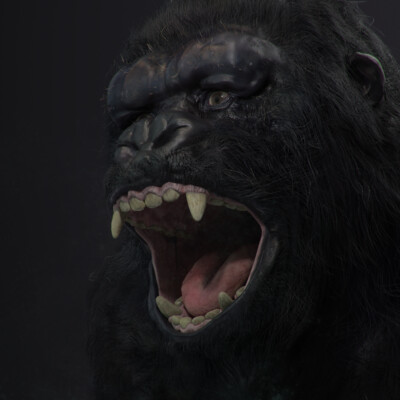 Kong