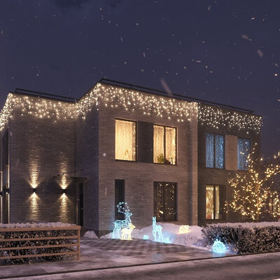 WINTER FAIRY TALE