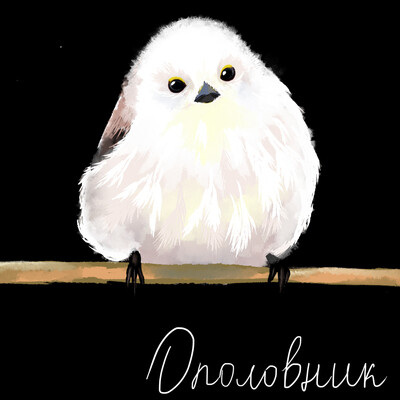 Ополовник