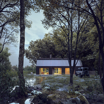 3d visualization The Author's House
