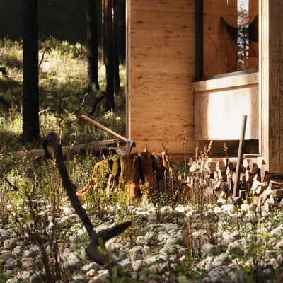 Cabin house in the forest