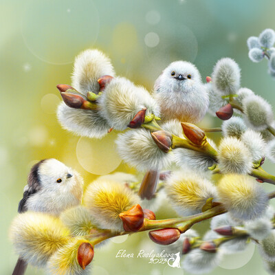 Spring came