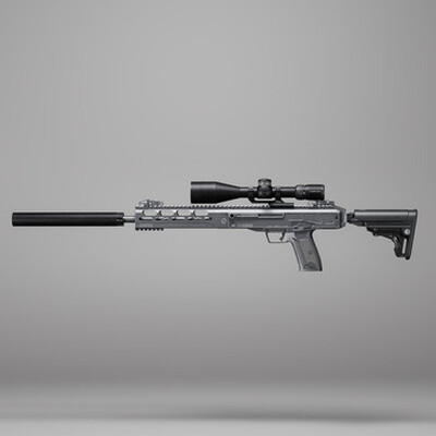 Ruger LC Carbine