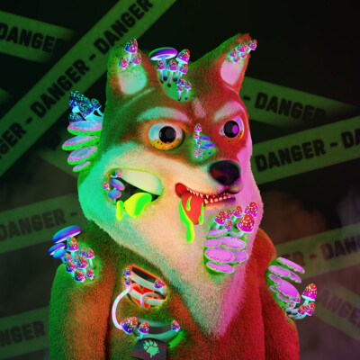 Shiba-inu NFT-dog