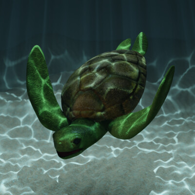 CinematicTurtle