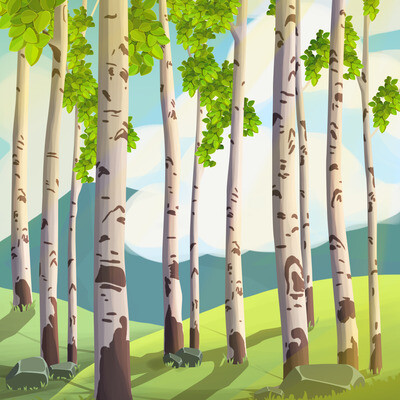 landscape