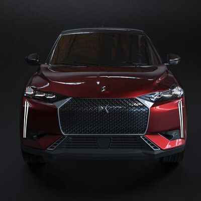 DS3 2023