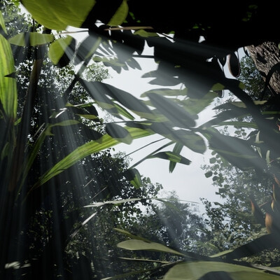 Тропический лес на Unreal Engine 5