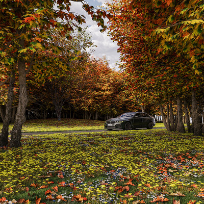 BMW in autumn