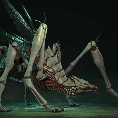 The Dragon